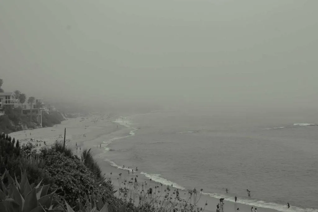 Animi et adipisci quis id et